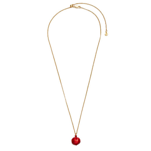 Pomegranate locket necklace by Fable England